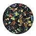 2 Oz Rainbow Dichroic Coarse Frit On Black - 90 Coe