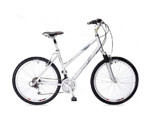 Childrens Toyshop  Toys : RALEIGH 12.5inch Voyager Ladies Bike