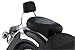 Cobra Mini Sissy Bar 02-4920