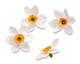 Eigenschaften KnorrPrandell  / Gütermann / KnorrPrandell 7611230 - Narzissenstreu 20teilig 4cm