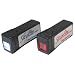 Rigel Systems Skylite Mini, Switchable 2-Red / 2-White LED Flashlight
