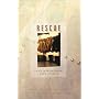 Rescue: Matchmaker 911/Island Sunrise/Wellspring of Love/Man of Distinction (Inspirational Romance Collection)