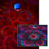 Underwater Kool-Light-O-Scope