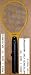 ELECTRIC FLY SWATTER - 1500 Volts - Easily Kill Flying Insects Such As Mosquitos, Flies, and Gnats.
