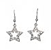 Earrings - E106 - Crystal Star ~ Clear