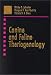 turkish van - Canine and Feline Theriogenology