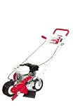 Little Wonder Edger #6232H