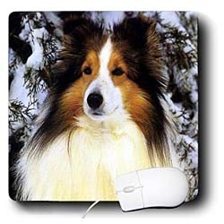 image link - - B000EGCCXI