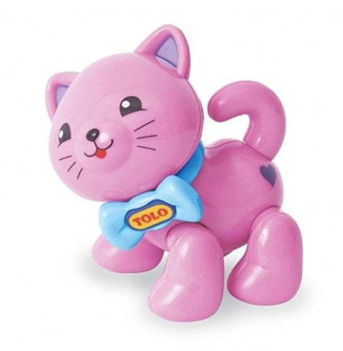 First Friends Kitten