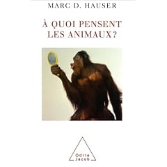 A quoi pensent les animaux ?