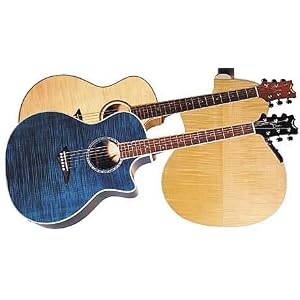 Dean Exotica Acoustic-Electric Cutaway Guitar, Trans Black with Tuner Preamp