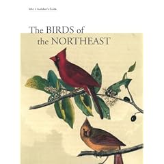 The Birds or the Northeast: John J. Audubon's Guide; His Art and His Observations, a Personal Field Guide
