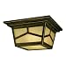 Tools & Hardware : Westinghouse 69976 Ridgetop Two-Light Exterior Flush Mount Fixture, Marbleized Bronze Finish with Seeded Linen Globe