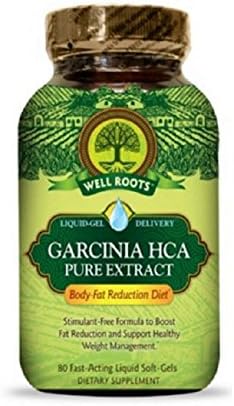Well Roots Garcinia HCA Pure Extract Diet Supplement 80 Gel Caplets 600 MG (4 Pack)