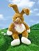 Java (small) 12