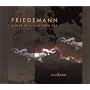 Echoes of a Shattered Sky von Friedemann