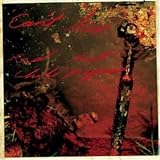 Can'T Stop - Red Hot Chili Peppers
