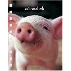 Piglets Address Book by 