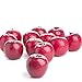Factory Direct Craft Red Dewy Artificial Apples for Indoor Decor - 12 Apples