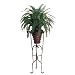 Laura Ashley  Boston Fern in Stand