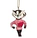 NCAA Wisconsin Badgers Bucky Mascot Ornament