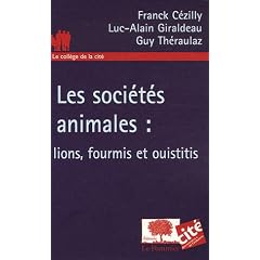 Les soci�t�s animales : lions, fourmis et ouistitis
