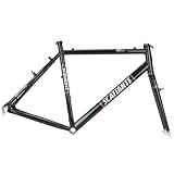 2008 Scattante XRL Cross Frame and Fork