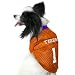 Clemson Tigers #1 Orange Dog Football Jersey