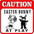 CAUTION: EASTER BUNNY AT PLAY fun games sign