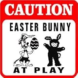 CAUTION: EASTER BUNNY AT PLAY fun games sign