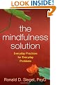 The Mindfulness Solution: Everyday Practices for Everyday Problems