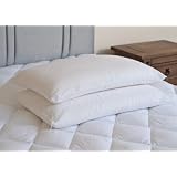 Slight Second Luxury 100% Memory Foam Orthopedic Super Firm Pillow