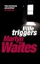 Little Triggers (Stephen Larkin)