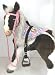Butterscotch S'Mores Interactive Hasbro Saddle Set -Teddybear