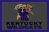 Kentucky Wildcats 3' x 5' Small Top View Area Rug