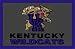 Kentucky Wildcats 3' x 5' Small Top View Area Rug