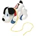 Playskool Walk 'N Sounds Digger the Dog Children's Pull Toy