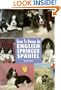Guide to Owning a English Springer Spaniel (Re Dog)