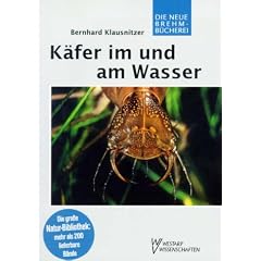 K�fer im und am Wasser