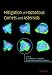 Mitigation of Hazardous Comets and Asteroids