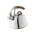 OXO Good Grips Anniversary Edition Uplift Tea Kettle, Polished Stainless Steel