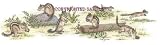 Chipmunks - Drawing by Cindy Farmer