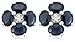 14k White Gold Sapphire Flower Earrings with title=