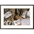 Dead Attwaters prairie chickens (Tympanuchus cupido attwateri) with paper tags on them Subject Framed Art Poster Print by Joel Sartore, 29x21