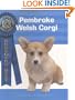 Pembroke Welsh Corgi (Breeder's Best)