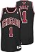 Derrick Rose Alternate Adidas NBA 2010 Swingman Chicago Bulls Jersey