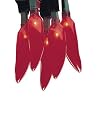 Bethlehem Lighting Indoor/Outdoor Chili Pepper 35-Light Set