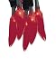 Bethlehem Lighting Indoor Outdoor Chili Pepper 35-Light Set