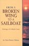 From a Broken Wing to a Sailboat