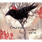 Garden Ruin by Calexico